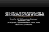 Modèle animal de BPCO: particularités du modèle societe-francaise-de- · PDF fileMODÈLE ANIMAL DE STRESS OXYDANT ET BPCO • Facteurs/Voies impliqués dans la BPCO expérimentale