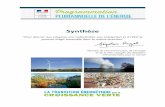 1 - Synthèse - ecologique-solidaire.gouv.fr · 5 5 code de l’énergie ; • du public, plus de 5000 commentaires ayant été apportés lors de la consultation publique organisée