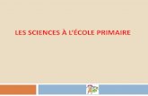 Les sciences à l’école primaire - ekladata.comekladata.com/Al1Y1L56ApiDapLjW5GpHge4xak/demarche-technologiqu… · Les sciences à l‘école primaire: Unité et diversité de