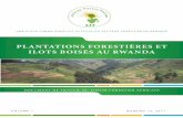 PLANTATIONS FORESTIÈRES ET ILOTS BOISÉS AU RWANDA · UNE PLATE-FORME POUR LES ACTEURS DU SECTEUR FORESTIER EN AFRIQUE ... au Rwanda. ... Emploi potentiel au niveau des plantations