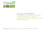 FranceAgriMer ONRB : enjeux de la valorisation de la ... · Informations sur le projet Client FranceAgriMer Titre du rapport ONRB : enjeux de la valorisation de la biomasse en matériaux