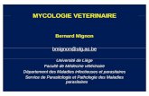 MYCOLOGIE VETERINAIREMYCOLOGIE … · MYCOLOGIE VETERINAIREMYCOLOGIE VETERINAIRE Bernard Mignon bi @l bbmignon@ulg.ac.be Université de Liège Faculté de Médecine vétérinaire