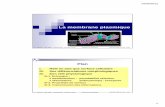 (UE2 Membrane Plasmique sept12 [Mode de …medecine-pharmacie.univ-fcomte.fr/download/ufr-smp/document/cours... · Systèmes de reconnaissance de surface ... * la vitesse est fonction