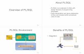 PL/SQL is an extension to SQL with Overview of PL/SQLwebdiis.unizar.es/asignaturas/BD/transparenciasBD/plsql_slides_4x1.pdf · Overview of PL/SQL About PL/SQL – PL/SQL is an extension