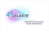 CELESTE Groupware Guide Utilisateurs - lapro.org · 2 CELESTE est une marque déposée Tel : 01 70 17 60 20 – Fax : 01 64 68 71 85 Groupware CELESTE Votre guide d'utilisation La