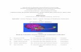 Mémoire - dspace.univ-tlemcen.dzdspace.univ-tlemcen.dz/bitstream/112/1015/1/SOUFI-LALOUT-WASSIL… · Mme SOUFI-LALOUT WASSILA Thème : Etude de l’interaction enzyme-substrat par