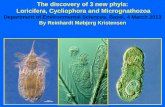 The discovery of 3 new phyla: Loricifera, Cycliophora …evolution.unibas.ch/teaching/blockkurs_zoologie/intern/week2... · The discovery of 3 new phyla: Loricifera, Cycliophora and