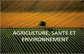 AGRICULTURE, SANTE ET ENVIRONNEMENTelecoix.free.fr/classes/docs_1L-ES/Cours 2013/05 COURS Agric sante... · organique (MO) par les végétaux chlorophylliens (producteurs primaires)