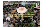 Rôles des champignons dans l'écosystème forestier.ppt) · champignons comestibles que rec èlent les sous -bois. Sans omettre d ’é voquer cet aspect socio -économique ... toxiques
