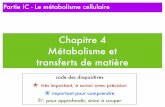 Chapitre 4 Métabolisme et - ekladata.comekladata.com/bcpst1rostand.eklablog.fr/perso/Metabolisme/Diapo... · Cycle de Calvin Cycle de Krebs. Le cycle : une régénération complexe