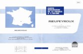 RIEUPEYROUX - ficheinfoterre.brgm.frficheinfoterre.brgm.fr/Notices/0883N.pdf · région de Rieupeyroux n'aguère intéressé les géologues et demeure, de ce fait, relativement peu