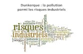 Dunkerque : la pollution parmi les risques industriels · La pollution de l'eau La pollution des sols Le recuclage des déchets domesttques Autre Ne salt pas, ne se prononce pas Cité