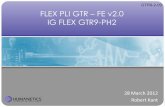 GTR9-2-09 FLEX PLI GTR – FE v2.0 IG FLEX GTR9-PH2 · FLEX PLI GTR v2.0 Summary The Consortium responsible for the FLEX-PLI in LS-DYNA, PAM-CRASH, RADIOSS and ABAQUS code has recently