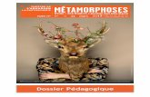 METAMORPHOSES - DPEDAG - Théâtre de l'aquarium€¦ · photo qui en résume ... toutes inspirées par la mythologie ... Elle est condamnée par la déesse à répéter les derniers