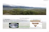La biosphère - Le Site Web de Jeff O'Keefe · Le climatogramme e e ... Essayez de dessiner le climatogramme de Vernon. ... Comment les composants biotiques et non biotiques interagissent-ils