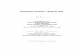 Phytoplankton communities in temperate rivers · Phytoplankton communities in temperate rivers Jacinthe Contant Thesis submitted to the ... dans les cours d’eau, a atteint des densités