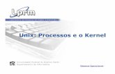 Unix: Processos e o Kernel - inf.ufes.brzegonc/material/Sistemas_Operacionais/Unix... · No Unix, o kernel reside em um arquivo em disco normalmente nomeado como /vmunix ou /unix