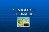 SEMIOLOGIE URINAIRE - ifsinice.free.frifsinice.free.fr/cours/Modules Globaux/Urologie Nephrologie/Cours... · semiologie urinaire. parametres normaux de la miction volume : 200 a