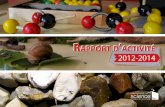 RappoappoRRtt dd activitéactivité - maisons-pour-la ... · en Alsace entame à la rentrée 2014-2015 sa troisième année d’activités. Depuis ses prémices, le Rectorat naires