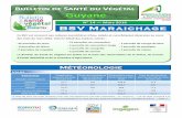 ulletin de Santé du Végétal Guyane · ulletin de Santé du Végétal Guyane BSV Maraichage N° 14 — Mars 2016 e SV est consacré aux cultures maraîchères (chou, salade et cucurbitacée)
