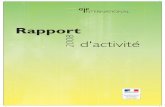 Rapport - Ministère du Travailtravail-emploi.gouv.fr/IMG/pdf/Rapport_d_activite_2008_Version... · programme relatif à la modernisation de l’administration et de l’inspection