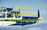 Brevet - Collège Haffreingue · théoriques de préparation au BIA. ... Il se répartit en 5 matières : –Aérodynamique et mécanique du vol ... 3/11/2013 10:13:18 PM ...
