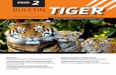 EDISI 2 TIGER - sumatrantiger.id · BULETIN TIGER 3 EDISI 2 Upaya konservasi harimau sumatera telah mengalami banyak kemajuan sejak dirumuskannya Strategi Rencana Aksi …