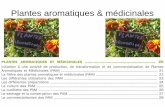 Plantes aromatiques & médicinales - EPL Ahun · Initiation à une activité de production, de transformation et de commercialisation de Plantes Aromatiques et Médicinales (PAM)
