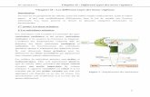 Chapitre II : Les différents types des tissus végétauxfac.umc.edu.dz/snv/faculte/tc/2017/cours/Chapitre II.pdf · produits de la photosynthèse des organes aériens, ils mobilisent