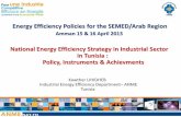 Energy Efficiency Policies for the SEMED/Arab Region · Energy Efficiency Policies for the SEMED/Arab Region ... Programme d‘Efficacité Énergétique dans le secteur Industriel