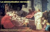 La communication nerveuse - exobiologie.info · conséquences des blessures des gladiateurs, dont il fut le médecin. Malgré leurs efforts et la qualité de leurs ... Le tableau