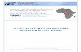LA CBLT ET LES DÉFIS SÉCURITAIRES DU BASSIN … · Carte tirée du rapport ... un nouveau différend a opposé le Cameroun et le Nigeria au sujet de l’utilisation des eaux du