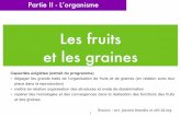 Les fruits et les graines - ekladata.comekladata.com/.../perso/Travaux-pratiques/Diapo_TP_fruits_graines.pdf · dégager les grands traits de l’organisation de fruits et de graines