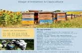Stage d'initiation à l'apiculture - babilon.be · Souhaite m'inscrire au stage d'initiation à l'apiculture aux dates suivantes: ☐ 11-12-13 mai 2018 ☐ 15-16-17 juin 2018 ☐