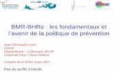 PL02 - BMR/BHRe : les fondamentaux et l'avenir de la ... · ICSHA 2 2013 Guyot JM, U44, opportunités d’HdM rapport au ministère de la santé 2008 . Quels objectifs pour l’hygiène
