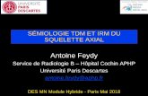 SÉMIOLOGIE TDM ET IRM DU SQUELETTE AXIALcerf.radiologie.fr/sites/cerf.radiologie.fr/files/files... · • Atteinte directe du cartilage et de la synoviale associée à une altération