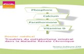 Phosphore Calcium Parathormone Vitamine D - … · Dossier médical Troubles du métabolisme minéral dans la Maladie Rénale Chronique Docteur Guillaume JEAN Centre NephroCare Tassin-Charcot