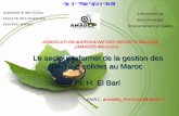 ASSOCIATION MAROCAINE DES DECHETS …planbleu.org/sites/default/files/upload/files/secteur_informel_El... · ASSOCIATION MAROCAINE DES DECHETS SOLIDES (AMADES -Morocco) Le secteur
