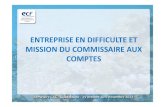ENTREPRISE EN DIFFICULTE ET MISSION DU COMMISSAIRE AUX COMPTESe-c-f.fr/doc/entreprise-en-difficulte-et-cac-seminaire-guadeloupe.pdf · MISSION DU COMMISSAIRE AUX COMPTES. SOMMAIRE