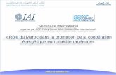 « Rôle du Maroc dans la promotion de la coopération ...©-ONE-OCPPC-2014(1).pdf · Maroc Algérie Tunisie 90 KV 225 KV 220 KV 400 kV 400 kV 150 KV Espagne ... Lafarge: 30 MW (Auto