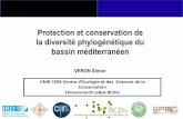 Protection et conservation de la diversité ... · Des aspects moins étudiés de la perte de biodiversité ... Grille de résolution 1°*1° du hotspot méditerranéen ... mondiale