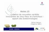 Atelier 25 Création de nouvelles variétés innovantes de ...genoweb1.irisa.fr/OGP/ftp/Gen2Bio2010/25_Hamon_BBV.pdf · Association loi 1901 Institut technique agricole (crééen
