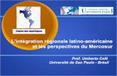 L’intégration régionale latino-américaine et les ... · économies de la région (protectionnisme).
