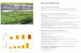 rootpac.comrootpac.com/sites/default/files/rootpac-pdf/rootpacr_fra.pdf · Compatibilité: Bonne avec les variétés de prune, pêche et nectarine. Il a aussi démontre etre compatible