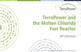 TerraPower and the Molten Chloride Fast Reactor - MCFR at... · The Molten Chloride Fast Reactor meets TerraPower’s vision for advanced nuclear power . 7 • Actinides stay in core,