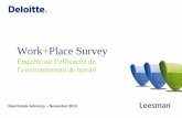 Work Place Survey - deloitte.com · besoins professionnels essentiels, à savoir le travail individuel au poste de travail, les conversations téléphoniques, ... 43% recherchent