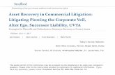 Asset Recovery in Commercial Litigation: Litigating Piercing the ...media.straffordpub.com/products/asset-recovery-in-commercial... · Asset Recovery in Commercial Litigation: Litigating