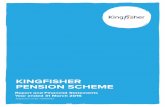 KINGFISHER PENSION SCHEME · Castorama Rus LLC . Kingfisher Information Technology Service (UK) Ltd . Kingfisher Future Homes Ltd (ceased xxxxx) Trustee . Kingfisher Pension Trustee