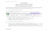 TUTORIAL Microsoft Project 2010 Fonctionalités de basechamilo.univ-grenoble-alpes.fr/courses/IUT1GTE1M2106/document/TD/... · Vision de la fiche de la cadre . Tutorial Microsoft
