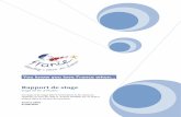 Rapport de stage - DoYouBuzz · Rapport de stage Stage de fin d’études ... l’organisation de voyage de presse à la découverte des régions françaises. Nouvelles technologies